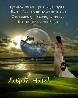 IMG-1df27781ec295bb1669debd0cb810186-V