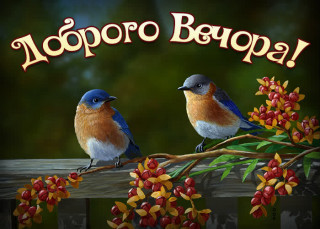 IMG-edb029ca61e73c2b94cb412adab376ce-V