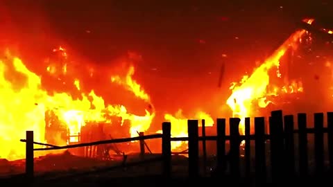 Журавли_домой_летят