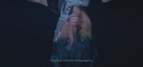 Первый контрольный - Цветы _Mood video_