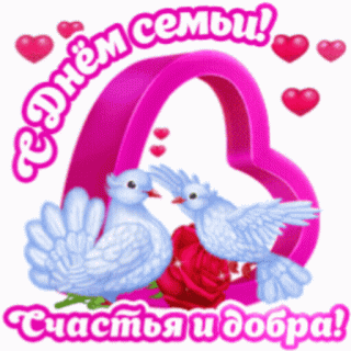 GIF-18e0a737c61ed031b3d9ed2022250896