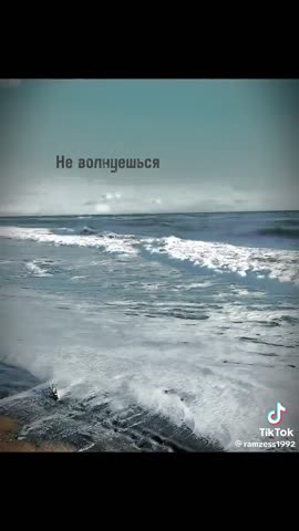 462449da36916bc88c2ed12dc6f64500