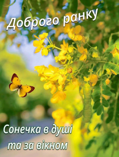 IMG-34d293af58a7443c9174a1b65a9f269f-V