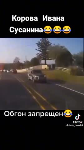 Юмор - Корова Ивана Сусанина