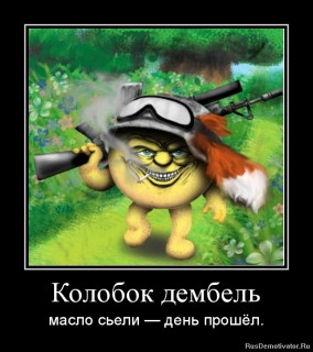 Prikoly_pro_kolobka_16_21214340