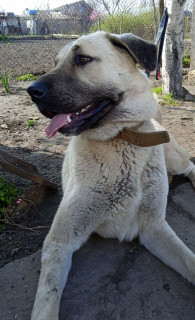 IMG_20230522_135027_110