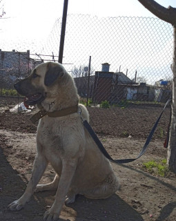 IMG_20230522_135039_565