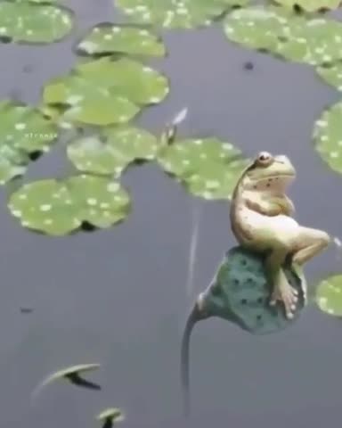 а мне все пофиг