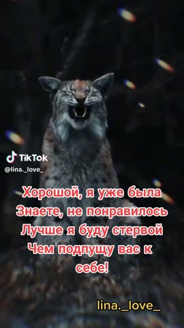 83823da5dffa1b63fee051d48ac6c203