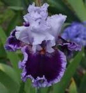 images-24