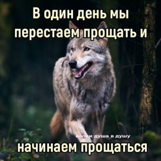 IMG-e14114de890a78b6de04c3990bb25712-V