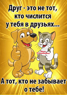 GIF-c5f203115c0e986f21bc83a4a3db28bd