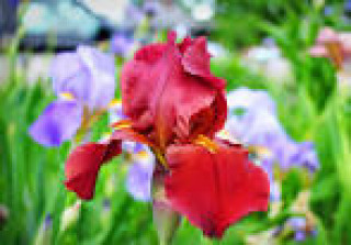 images-28