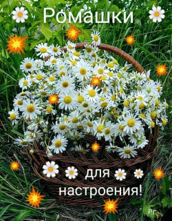 IMG-c2b18f318267c2454977ee7d4f4d0235-V