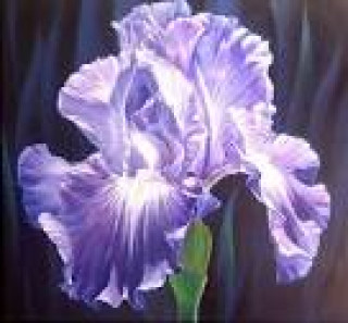 images-29
