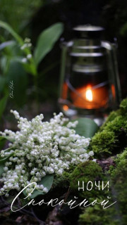 IMG-4a15437271c99b4c7c224f163218646b-V