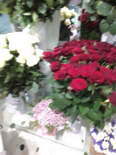 IMG-28b2de9930c27674f9eed52e3ff8c340-V