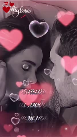 pinterestdownloader_-1685609247_539025