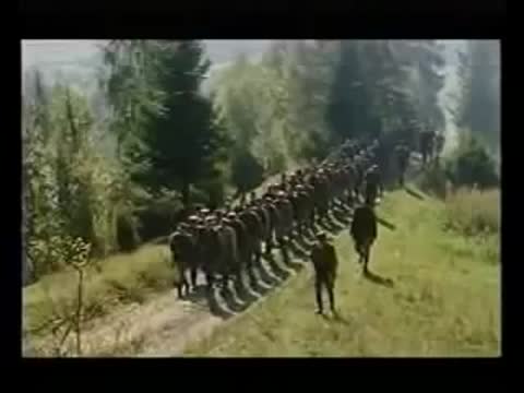 Червона_Калина__Гімн_ОУН-УПА_360p