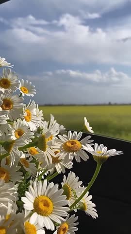 VID_20230529_201321