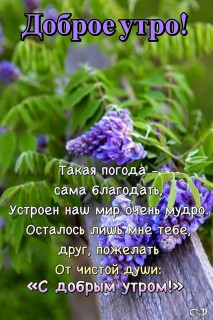 IMG-6302df5e1db4c2786fa480c538be6ae9-V