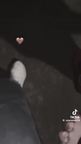 9f9e28c8a146a3c8ab8212aa0bc41944