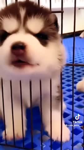 v0f044gc0000chl8iv3c77u0fa2imqu0