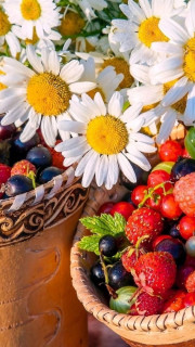 IMG-e50c97bff8ce87705a031bf8f464bec6-V