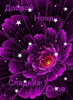 GIF-5c3638e544bb9016065e20896dcd5000