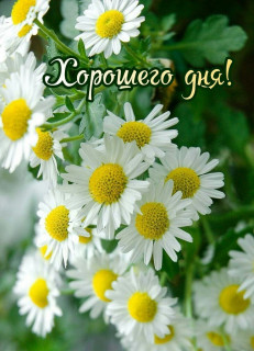 IMG-9108b4932d7bdfaea0757ff31344d711-V