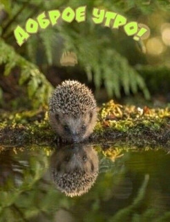 IMG-766b31b64dc4f27d05794fab930987fc-V