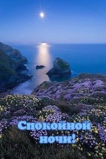 IMG-e3c44761263fb19a412d711bd02fe539-V