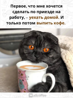 iCwke6O9PJ0