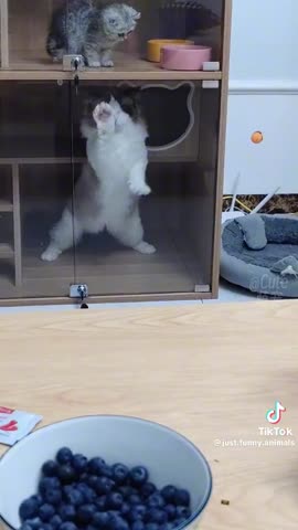 c5eddb58dbaea6bdb22d765cee981fcc