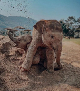 IMG-a0af1d4756bb0622dc8d0a70dffc4d67-V