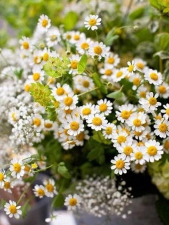 IMG-62651d858af22ee834882c27ff57b0c7-V