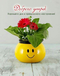 IMG-2d770d1cf2472fb10ce85b9c110e0283-V