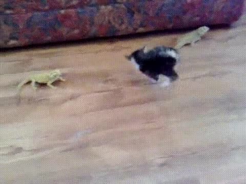 2_5206509542627606723