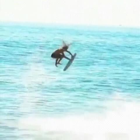 2_5208444545653539174