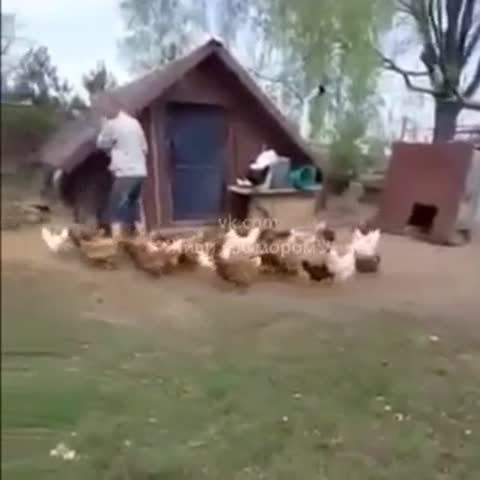 физрук_на_пенсии