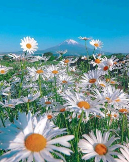 FB_IMG_16872872240558885