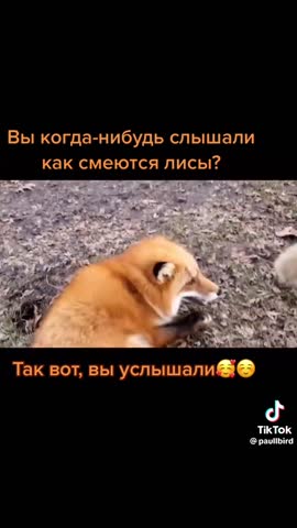 d42494cea150ea1ec058ca69574bb97c