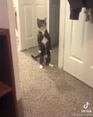 Внуки_пришли