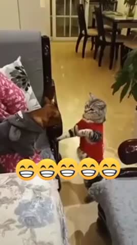 Напряжённая_ситуация