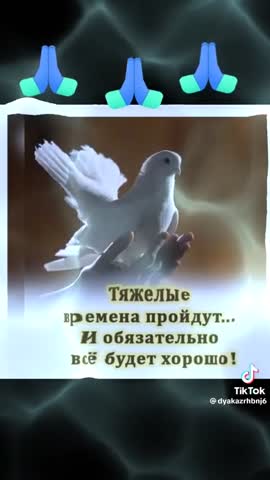 Всем мира
