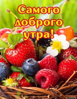 IMG-e5fea3680896c78df11b34de6cc9d83b-V