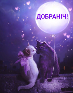 IMG-634b9e4cd49023359259483639078e27-V