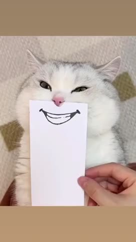 примерочка