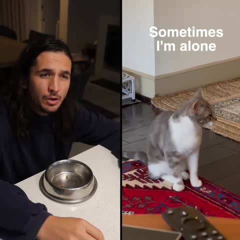 The_Kiffness_x_Lonely_Cat_-_Sometimes_I_m_Alone_Singing_Cat720P_HD