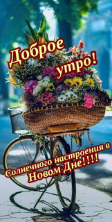 IMG-212c54bb25edfd63e9a3eafa87a33b60-V